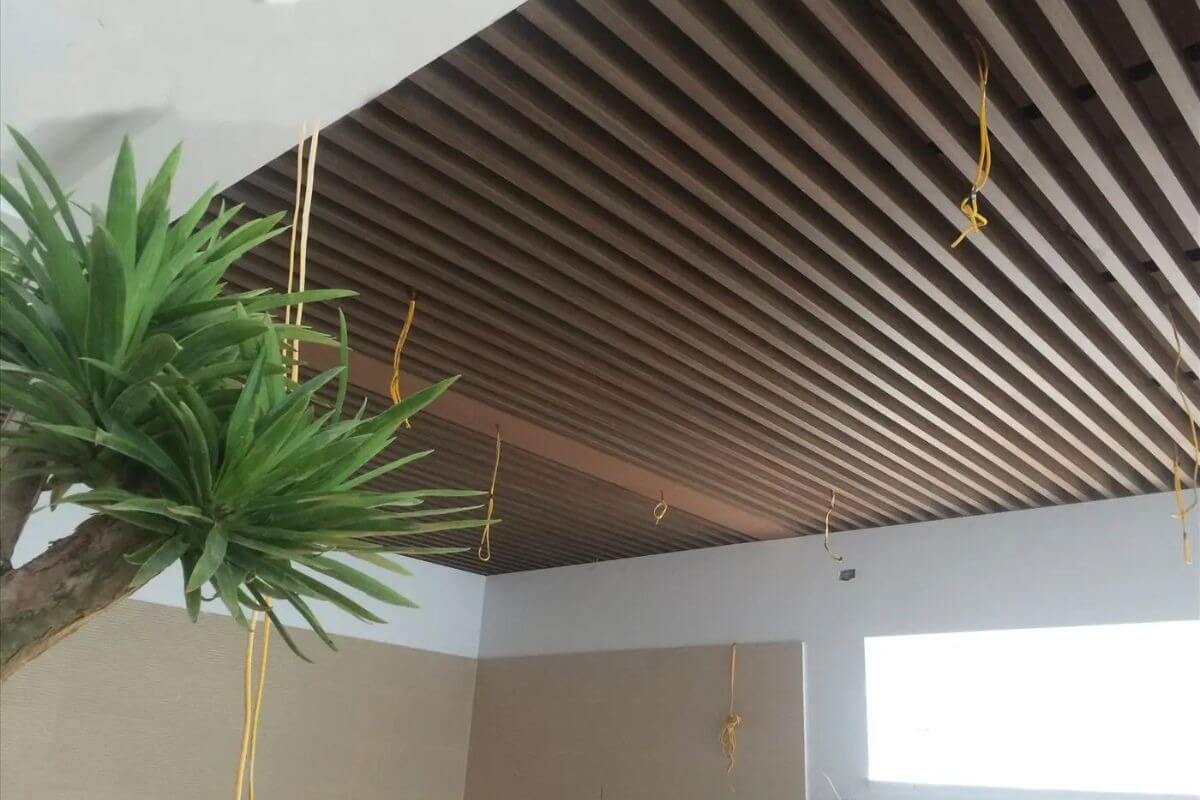 rj93fmbxyupl0eg16i2w Trần gỗ hiện đại với dây thừng màu vàng treo, cây xanh trang trí góc phòng sáng tự nhiên.