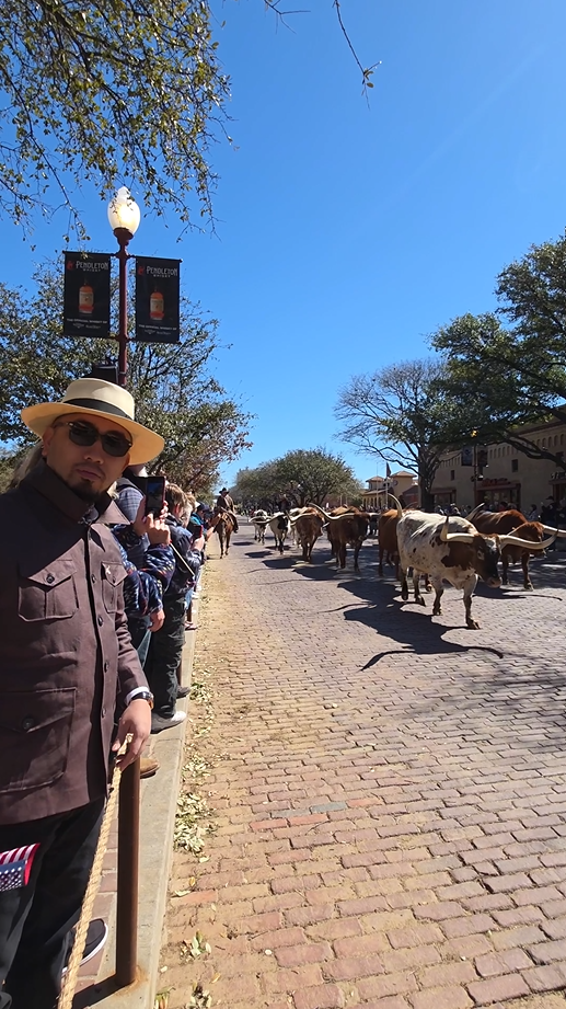 screenshot-2025-07-17-163512 Người đàn ông đội mũ đứng bên đường trong lễ diễu hành bò tại Fort Worth, Texas dưới bầu trời trong xanh.