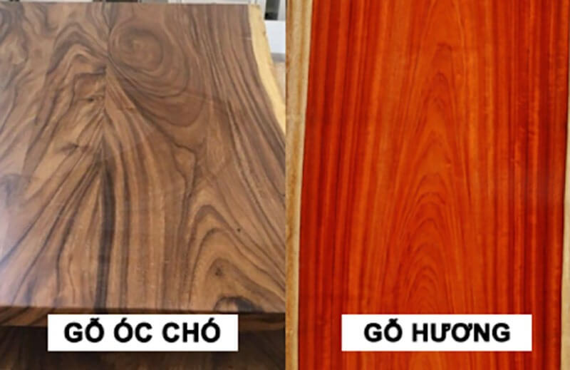 so-sanh-go-oc-cho-va-go-huong So sánh gỗ óc chó và gỗ hương