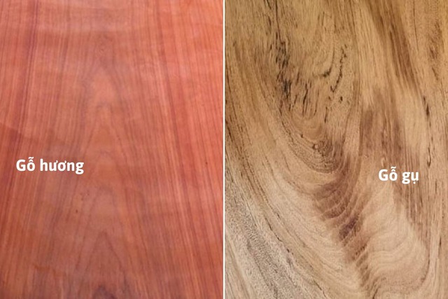 So sánh màu sắc và vân gỗ của gỗ hương và gỗ gụ.