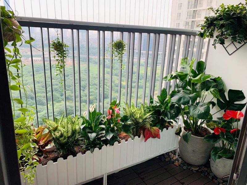 Ban công với cây xanh tươi tốt và hoa đỏ, tạo không gian thư giãn lý tưởng với tầm nhìn ra cảnh quan thành phố.