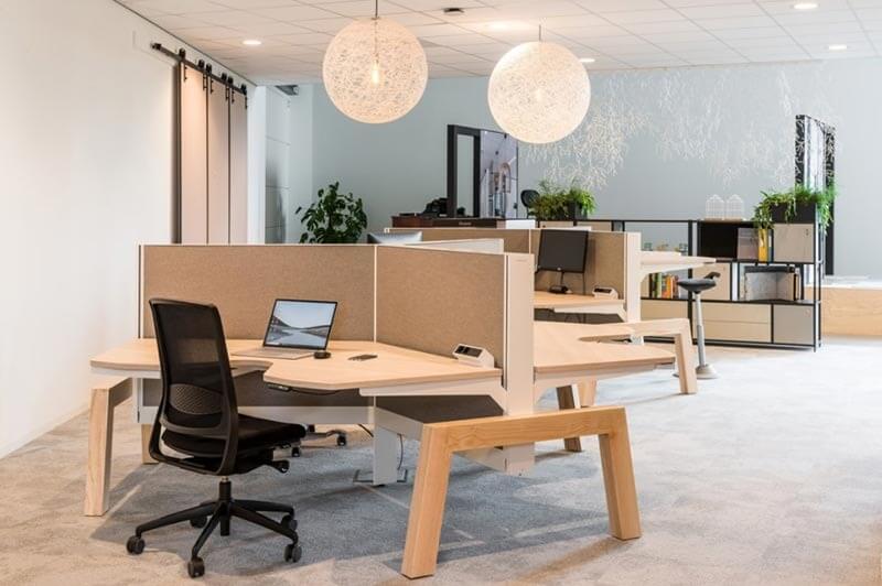 Không gian làm việc hiện đại với bàn ghế gỗ, ánh sáng tự nhiên và cây xanh trong văn phòng.