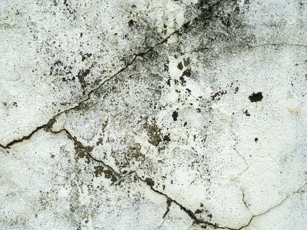 Bề mặt tường bê tông cũ với các vết nứt và rêu mốc, tạo vẻ cổ kính và cũ kỹ.