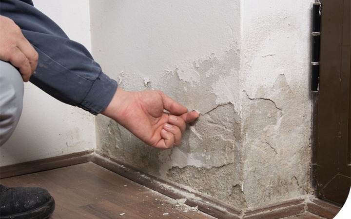 Người kiểm tra tường bị ẩm mốc gần cửa, lớp sơn bong tróc.
