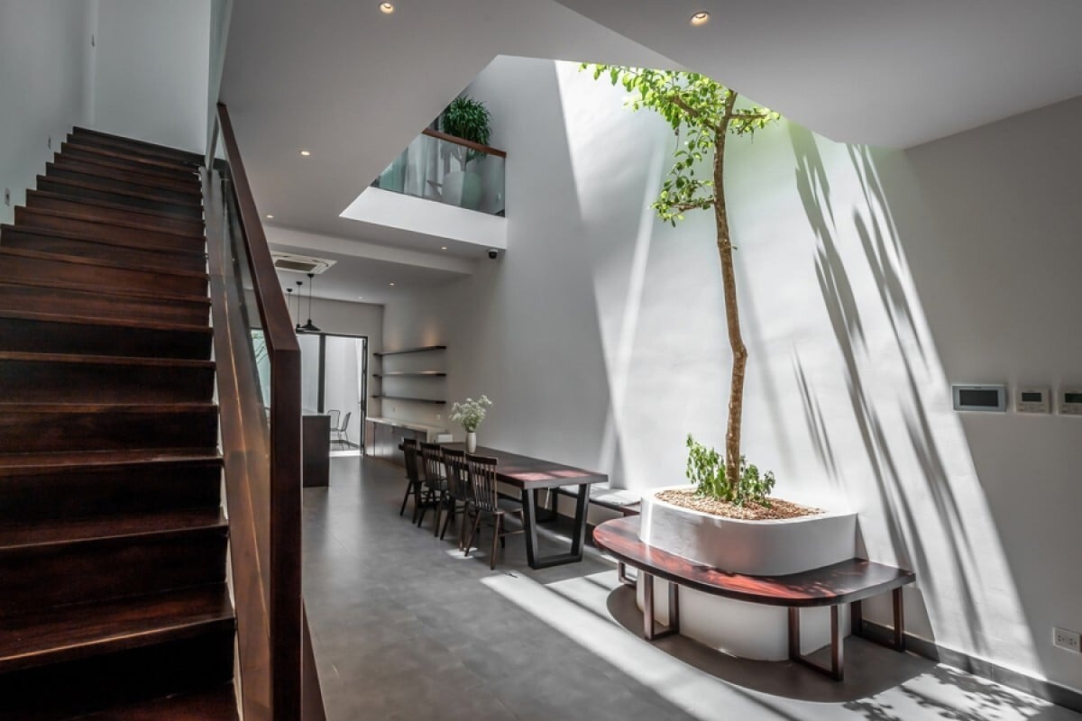 Phòng khách hiện đại với cây xanh dưới giếng trời, nội thất gỗ tối màu và ánh sáng tự nhiên.