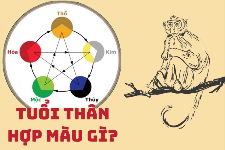 Hình ảnh mối quan hệ ngũ hành và tuổi Thân, với câu hỏi Tuổi Thân hợp màu gì? bên cạnh hình vẽ con khỉ.