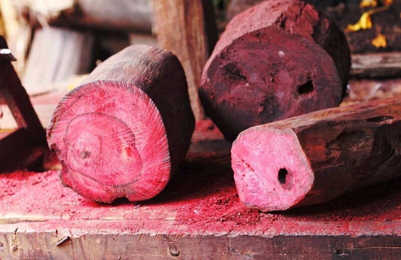 Khúc gỗ sưa đỏ trong xưởng chế tác, nổi bật với màu sắc rực rỡ và vân gỗ độc đáo.