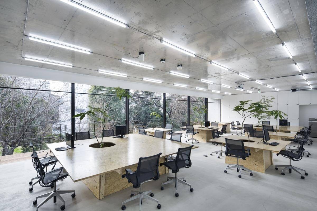 Văn phòng mở có thiết kế ánh sáng đầy đủ