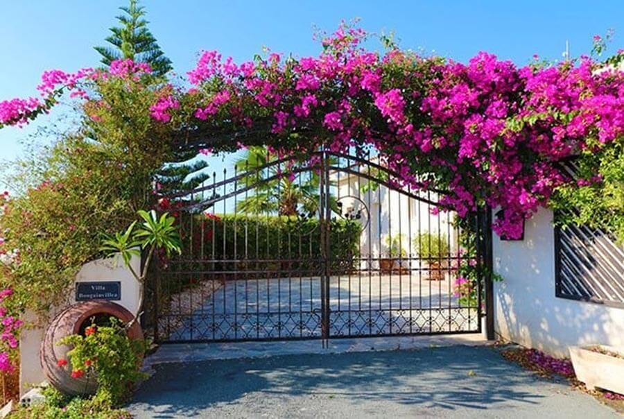 ve-mat-phong-thuy Cổng sắt trước biệt thự với hoa giấy tím rực rỡ dưới bầu trời trong xanh.