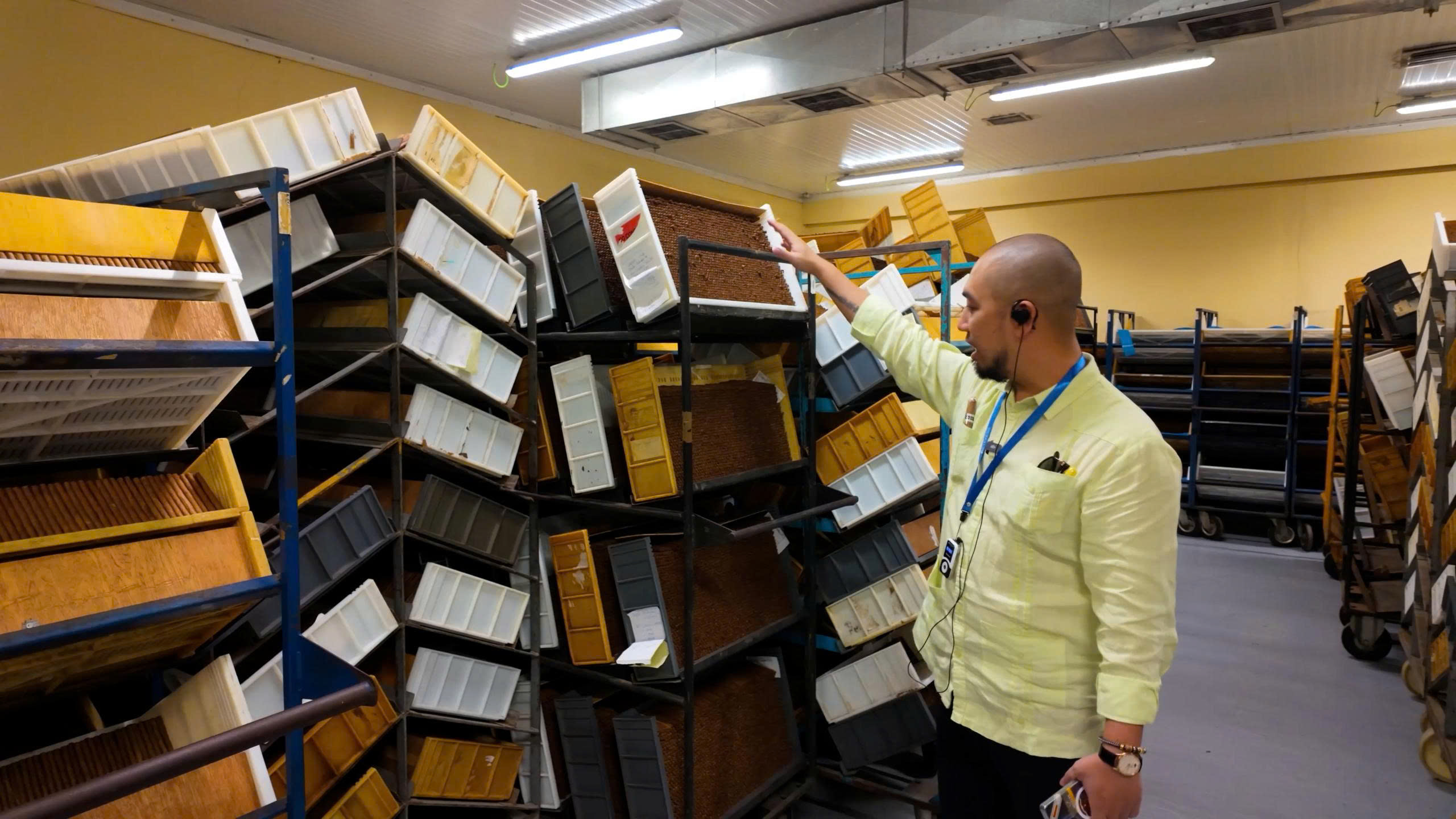 z6879709563697_9d2e6dda5cd52acdd04c6cc6a96bf0a4 Người đàn ông kiểm tra giá kệ chứa khay trong nhà kho công nghiệp, sử dụng tai nghe liên lạc.