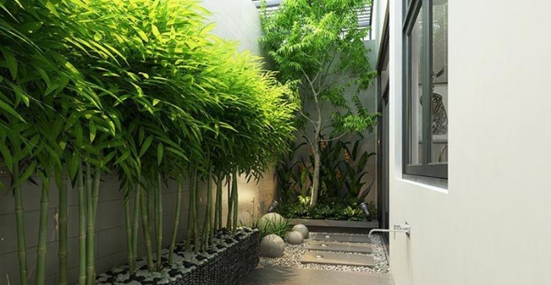 nha-ngo-cut-la-gi-cach-hoa-giai-phong-thuy-nha-o-ngo-cut-onehousing-4