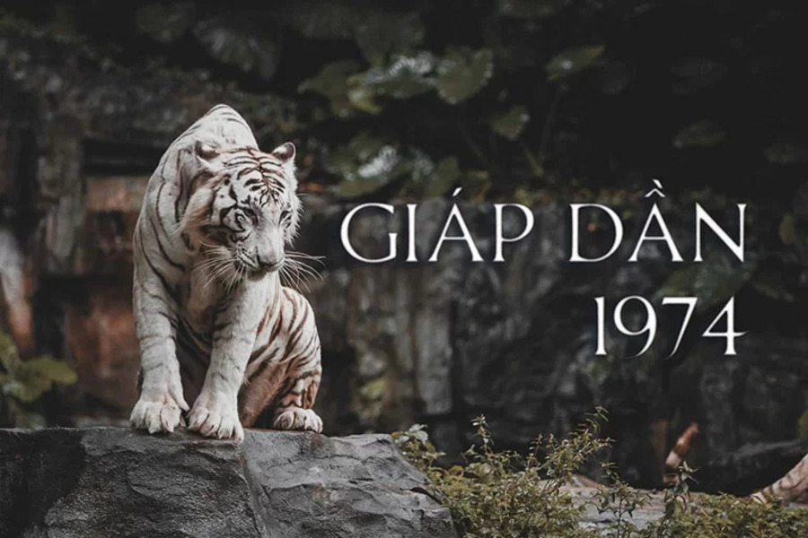 1731990375_unnamed2053