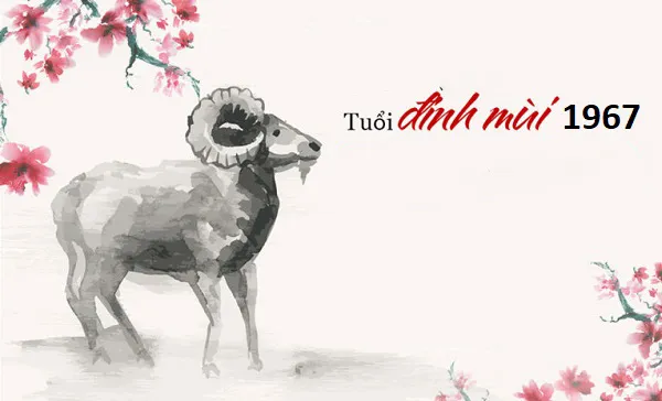 1732528732_unnamed20-202024-11-25t165828-587