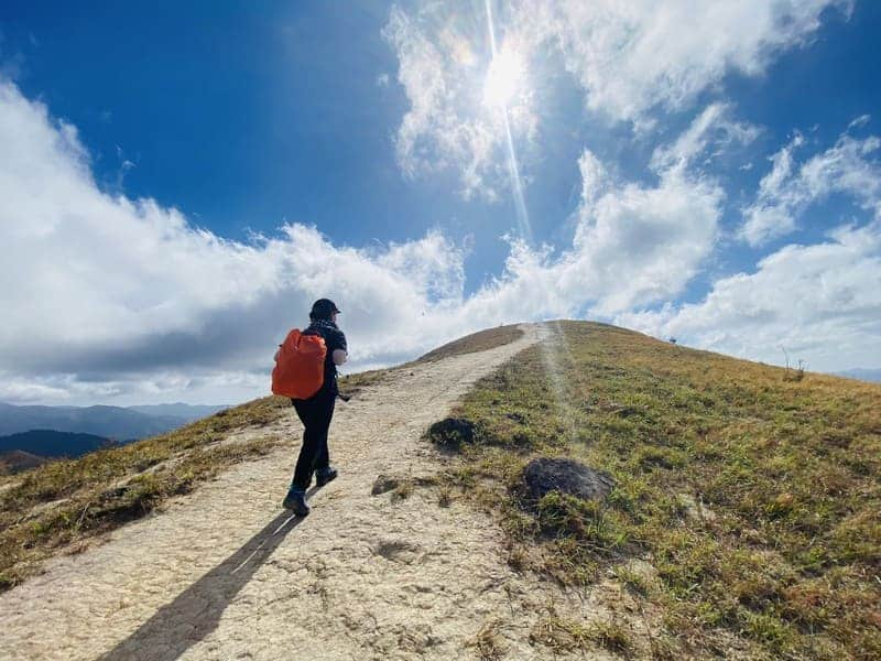 1733373992_unnamed20-2024-12-05t114557-297