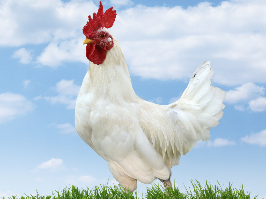 1745550293_unnamed20-202025-04-25t100358-581