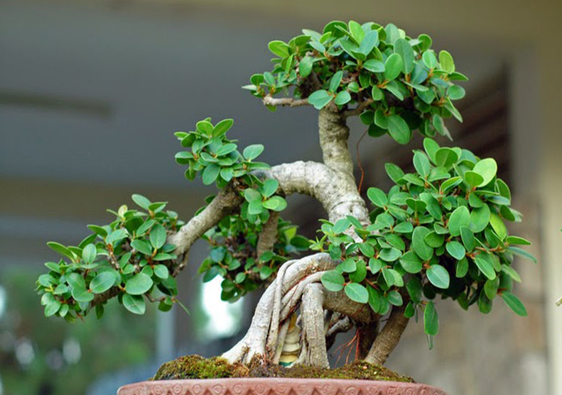 1747985695_unnamed20-202025-05-23t143435-411