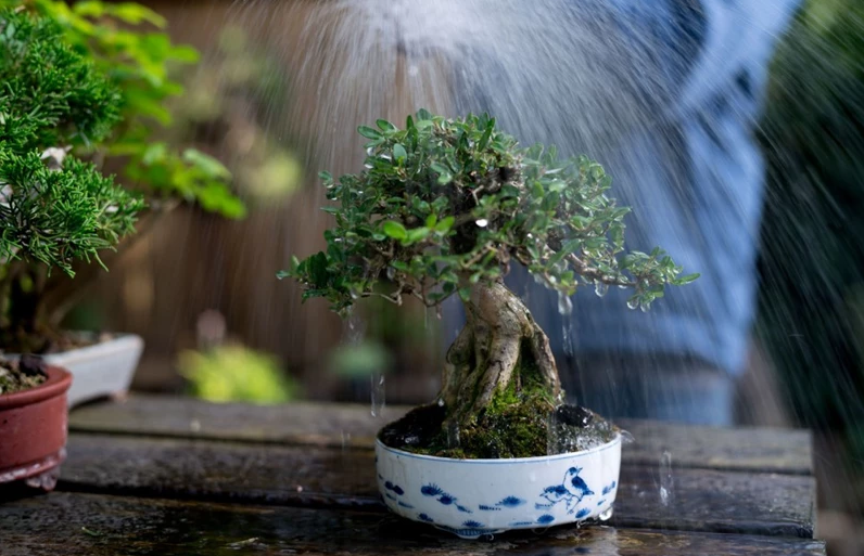 1747985717_unnamed20-202025-05-23t143423-879