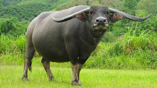 1748054544_unnamed20-202025-05-24t094214-270