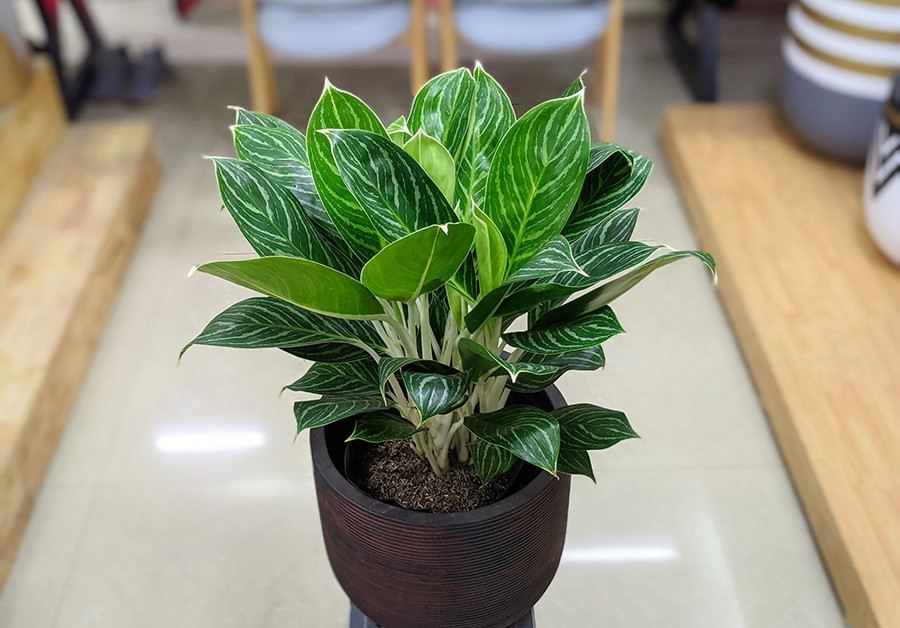 1748573816_unnamed20-202025-05-30t095638-309