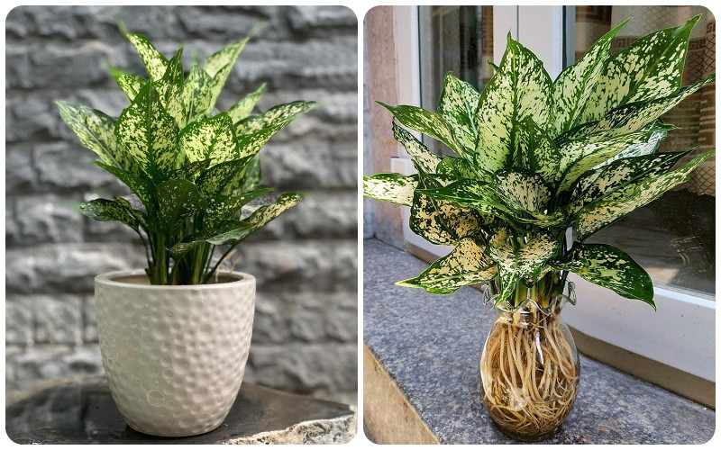 1748573823_unnamed20-202025-05-30t095634-857