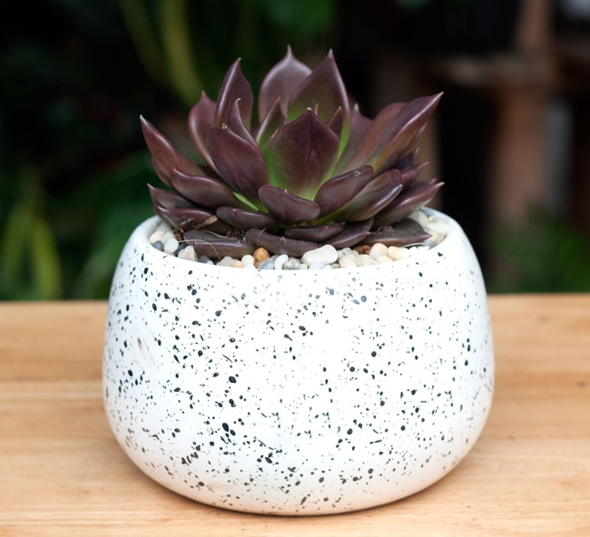 1748908917_picture10