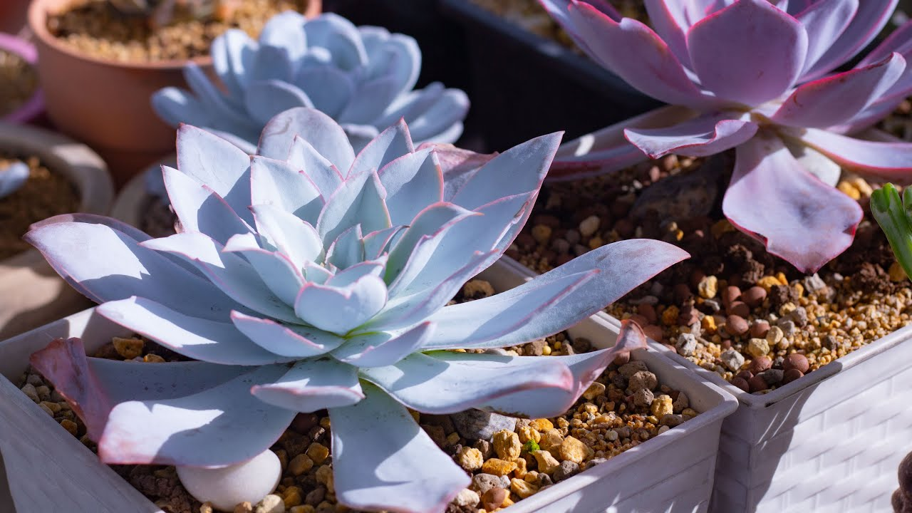 1748915394_unnamed20-202025-06-03t084923-132