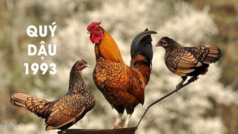 1993-hop-huong-nao-1 Đặc điểm chung của người sinh năm 1993