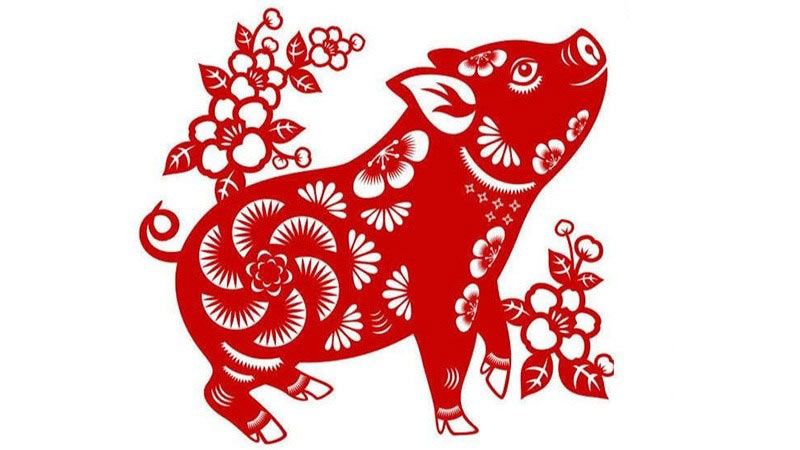 1995-hop-huong-nao-1 Giới thiệu về người sinh năm 1995 - tuổi Ất Hợi