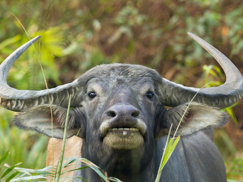 1997-menh-gi-3 Sinh năm 1997 hợp với tuổi nào, kỵ tuổi nào?