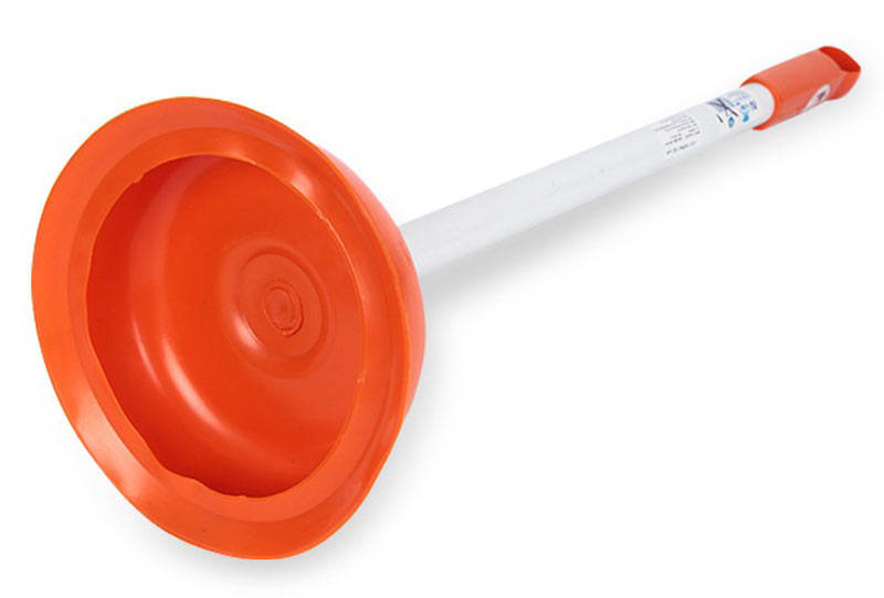 cay-thong-bon-cau-1 Cây thông bồn cầu là gì?