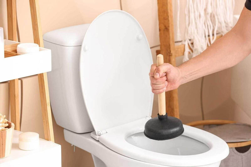 cay-thong-bon-cau-2 Cây thông bồn cầu truyền thống (cây thụt)