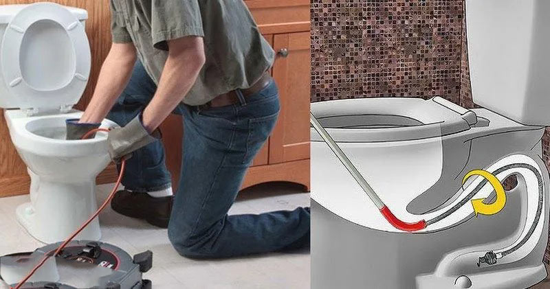 cay-thong-bon-cau-4 Dây thông tắc