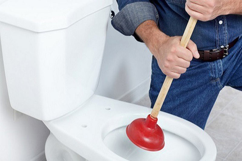 cay-thong-bon-cau-6 Ưu điểm vượt trội của cây thông bồn cầu so với các phương pháp khác