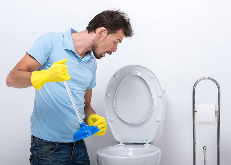 cay-thong-bon-cau-7 Cách chọn mua cây thông bồn cầu phù hợp với nhu cầu