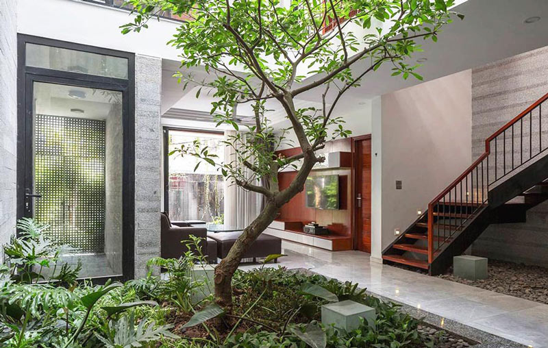 gieng-troi-nha-ong-11 Giếng trời kết hợp tiểu cảnh 3