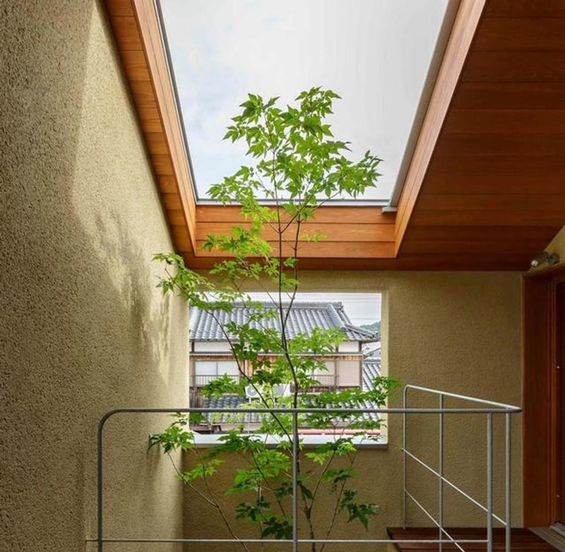 gieng-troi-nha-ong-4 Giếng trời mái kính 2