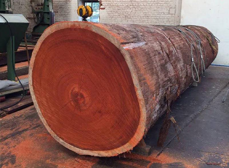 go-giang-huong-2 Giá trị của cây giáng hương