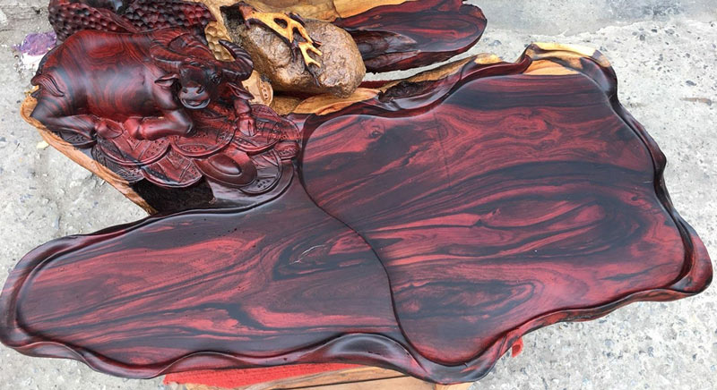 go-trac-3 Có những loại gỗ trắc nào?