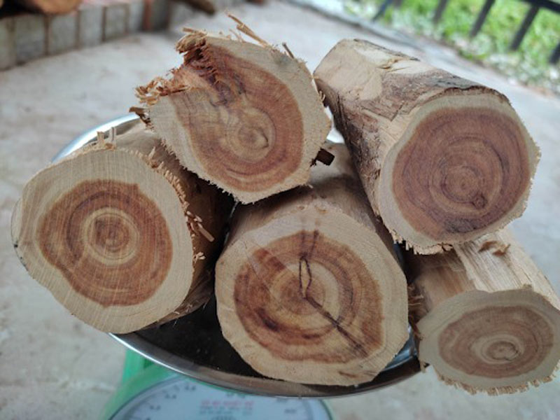 go-trac-4 Gỗ trắc và gỗ trắc bách diệp có phải là một không?