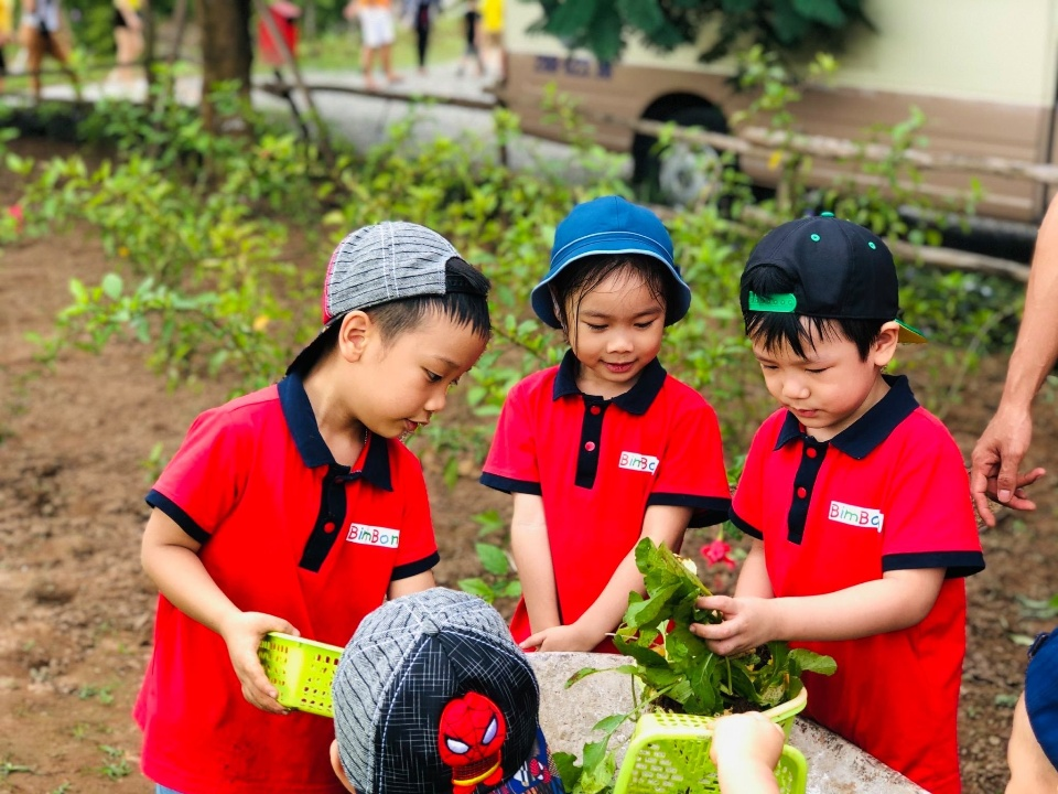 Trẻ được phát triển toàn diện khi học tại trường mầm non BimBon