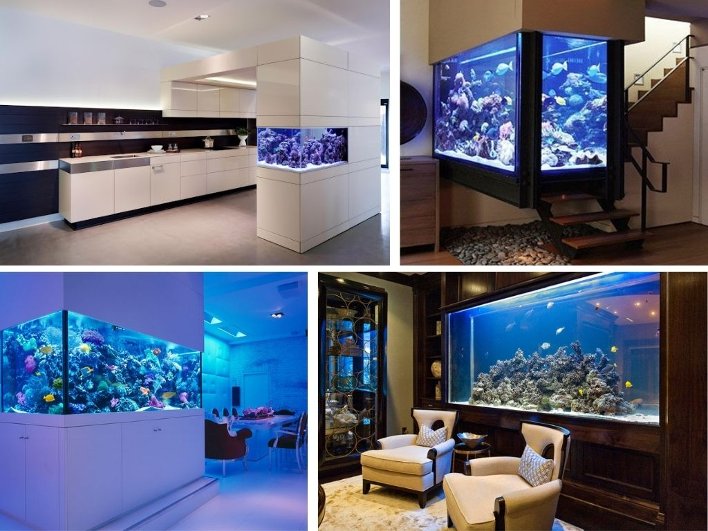 image_upload_1694355177_9 nguoi-menh-hoa-co-nen-dat-be-ca-phong-thuy-trong-nha-onehousing-3