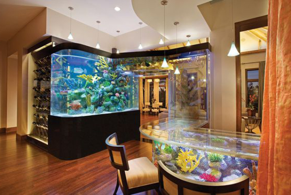 image_upload_1694747234_3 nguoi-menh-tho-co-nen-dat-be-ca-phong-thuy-trong-nha-onehousing-3