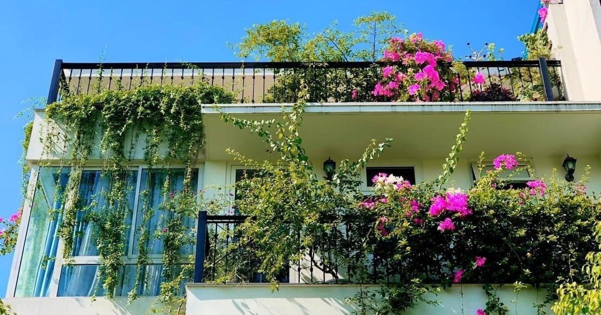 cach-hoa-giai-goc-nhon-chia-vao-nha-de-tranh-tieu-hao-tai-loc-onehousing-4