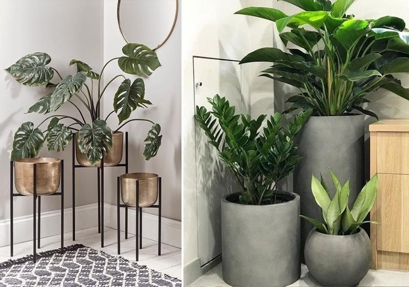 nha-xay-bi-meo-phai-lam-the-nao-de-khong-pham-phong-thuy-onehousing-2