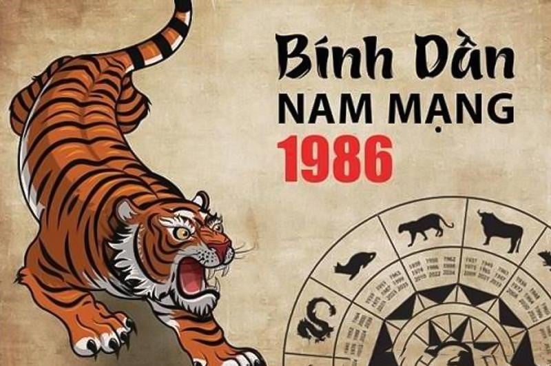 xem tu vi tuoi binh dan nam mang 2025