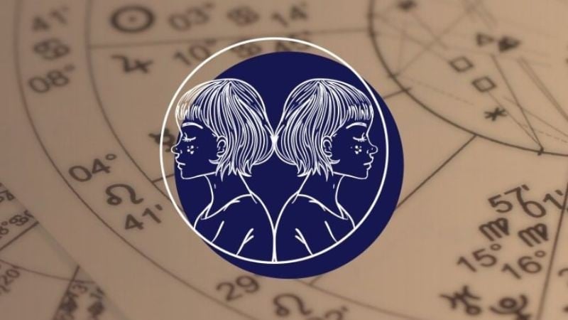 dac-diem-ngoai-hinh-va-tinh-cach-cua-cung-moc-song-ngu-n17t-onehousing-1