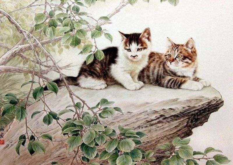 la so tu vi sao han tuoi ky mao 1999