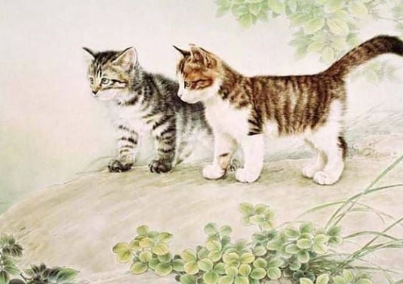 phong thuy tuoi ky mao 1999 nam mang