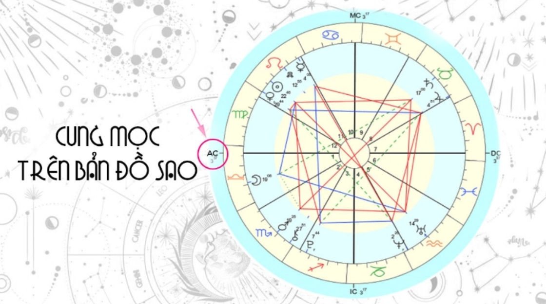 image_upload_1702220913_1 dac-diem-ngoai-hinh-va-tinh-cach-cua-cung-moc-su-tu-onehousing-1