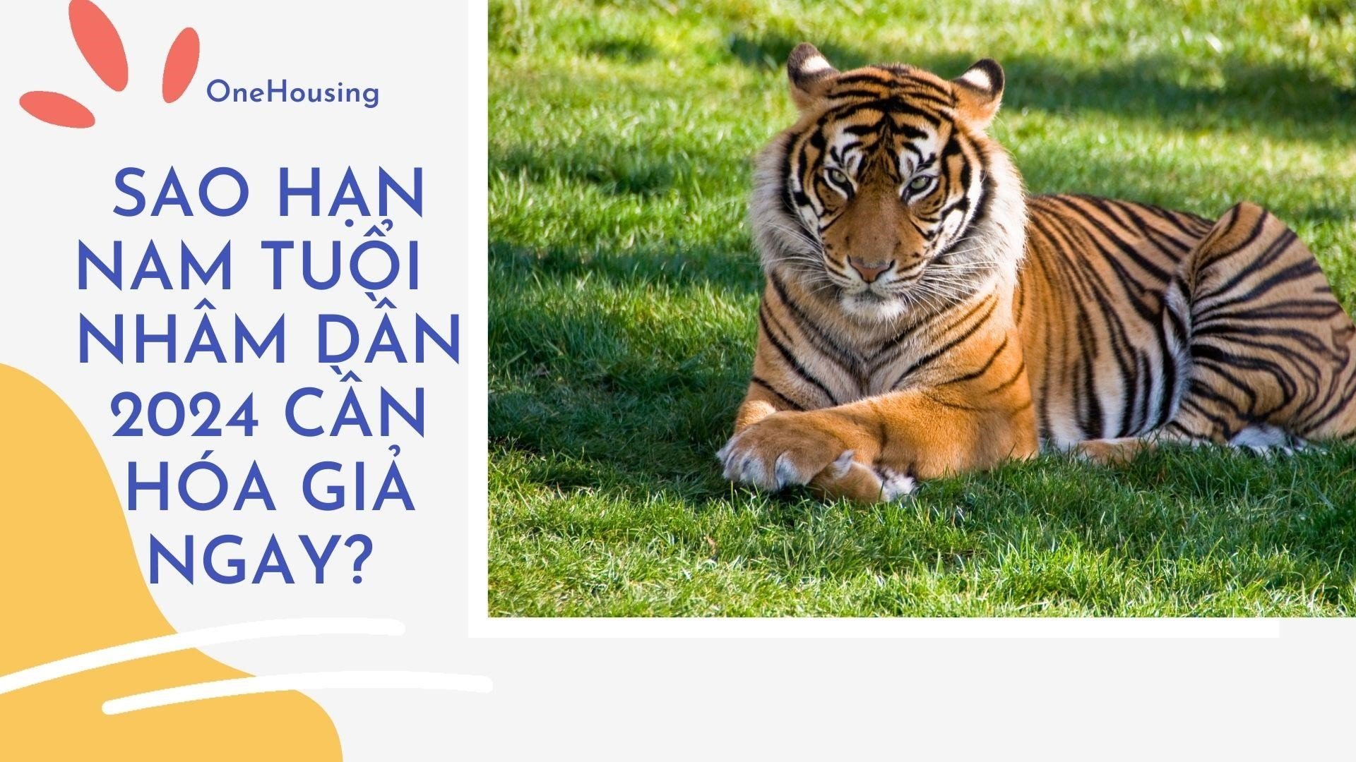 xem-tu-vi-tuoi-nham-dan-1962-nam-mang-nam-2024-chi-tiet-nhat-onehousing-2